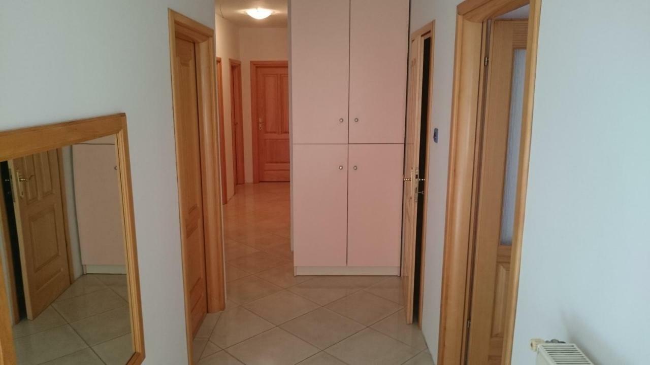 Apartment Kosic Zgaljic المظهر الخارجي الصورة